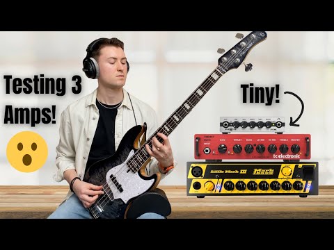 Comparing Bass Head Amps: Markbass vs TC Electronic vs Warwick
