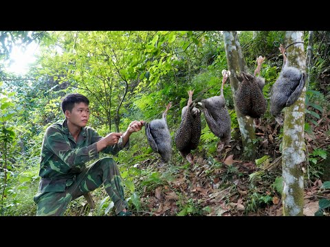 Survival in the wild, Detecting strange chicken footprints, how to set effective wild animal traps