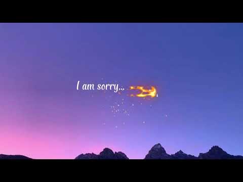 Malani-I'm sorry (Official Lyrics Video 2025)