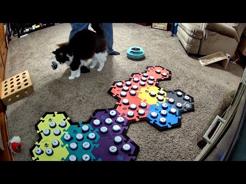 Did Todd Just Swear?!?!