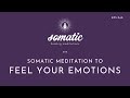 Somatic Meditation To Feel Your Emotions