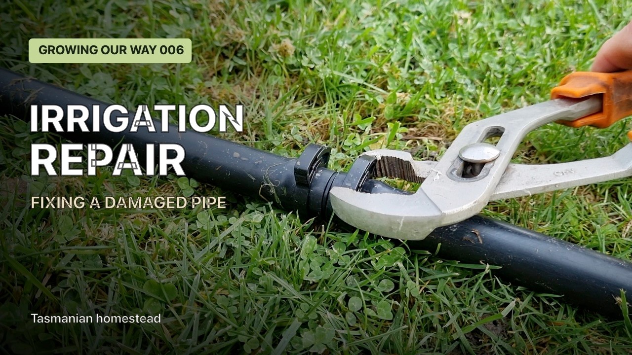 Still from Growing Our Way video 6, irrigation repair on the homestead