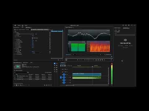 Video 2
