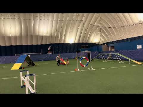 Yashica MasterStandard 100624