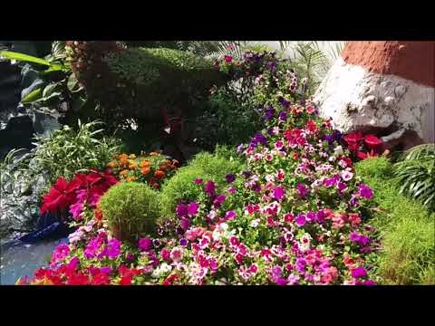 25th Flower Show, Mumbai