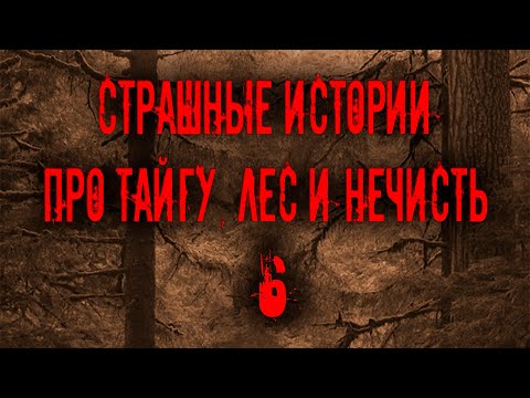 Страшные истории про тайгу, лес  и нечисть. 6 | Мистика Zvook. Олег Ли
