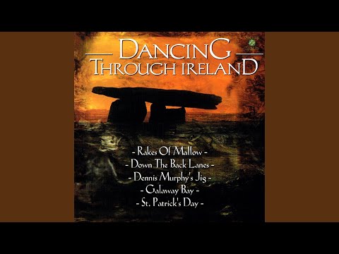 St. Anne's Reel / Sally Gardens / The Floggin' Reel