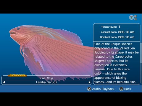 Endless Ocean Luminous - Complete Creature Log (All 578 Creatures!)