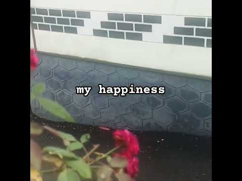 # iza # flowers 🌷🌺🌹🌸🌼🌻💐 # happiness # shorts