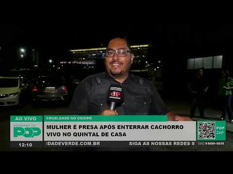 Mulher é presa após enterrar cachorro vivo no quintal de casa