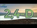 2 4 D The Bigger Picture