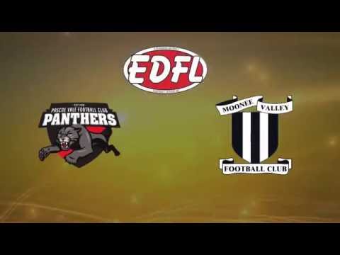 2016 Premiers - Pascoe Vale U10 Div 7 - Highlights