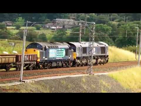 Exploring Shap from Greenholme