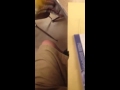 Og savage bird