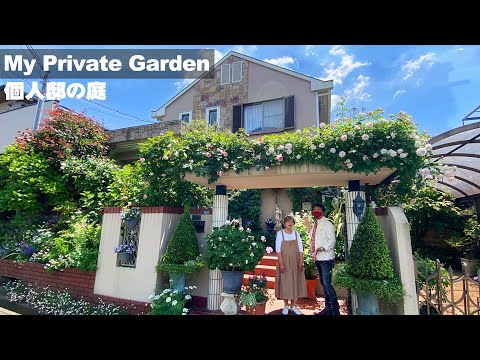 mur-végétal-intérieur-maison-contemporaine