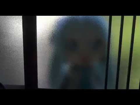 1 hour of silence occasionally broken by mikudayo