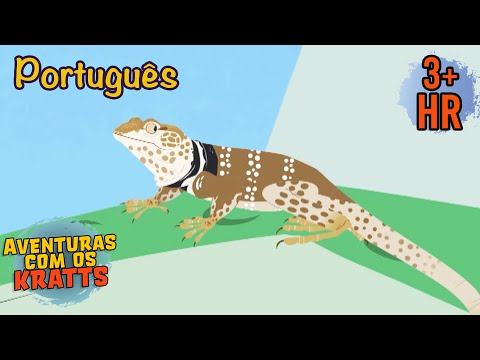 Procurando por um lagarto misterioso [episódios completos] Aventuras com os Kratts