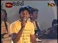 Sunflower Old Song Neel Warnakulasooriya With Sunflower