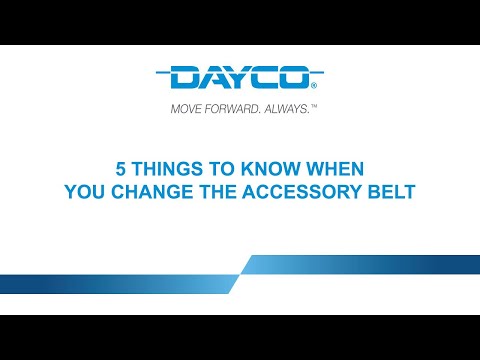 DAYCO Accessory Belt - EN