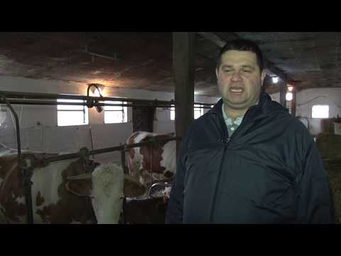 Krave za čistu DESETKU