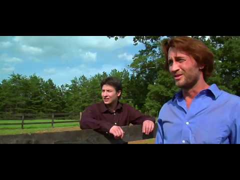 Pilgrim's Progress: Journey To Heaven - Bypass Meadow