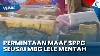 Permintaan Maaf SPPG Pamekasan Usai Lele Mentah Viral, Klaim Menu MBG Mengandung Gizi Seimbang