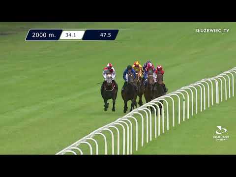 22.05.2022 - (Dzień 9; Gonitwa 2)