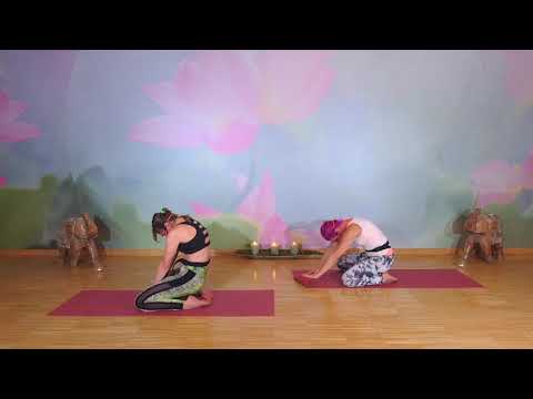 VINYASA YOGA mit Jasna & Stephanie - ONLINE KURSE - ONLINE FITNESS