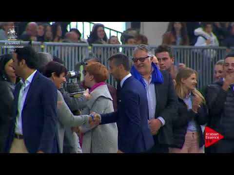 ARGENTO N.116 NEMESI REGALIS - Verona 2017 - Yearling Fillies Championship (Class 13)