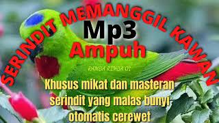 Download lagu Serindit Memanggil Ampuh || Khusus Mikat Dan Masteran Burung Serindit mp3