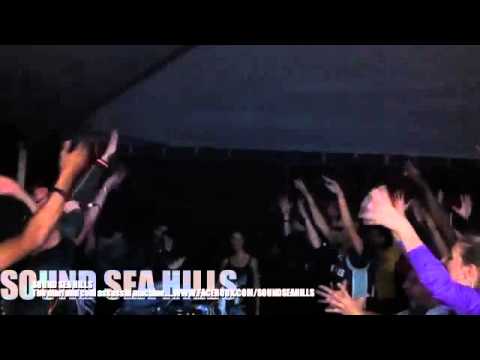 SOUND SEA HILLS plays Diplo's tune (Bird is the Word)