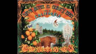 Dave Alvin – Haley's Comet