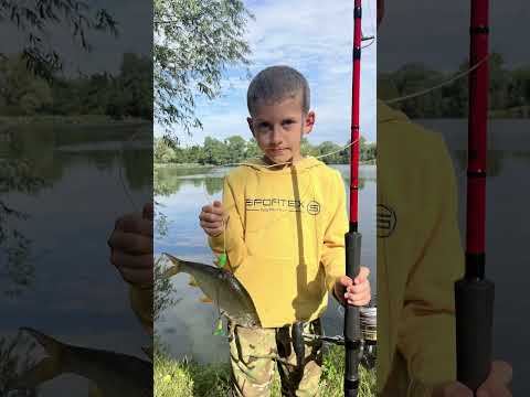 SPORTEX - Prút Jolokia Cat Boje 3 m 200-500 g
