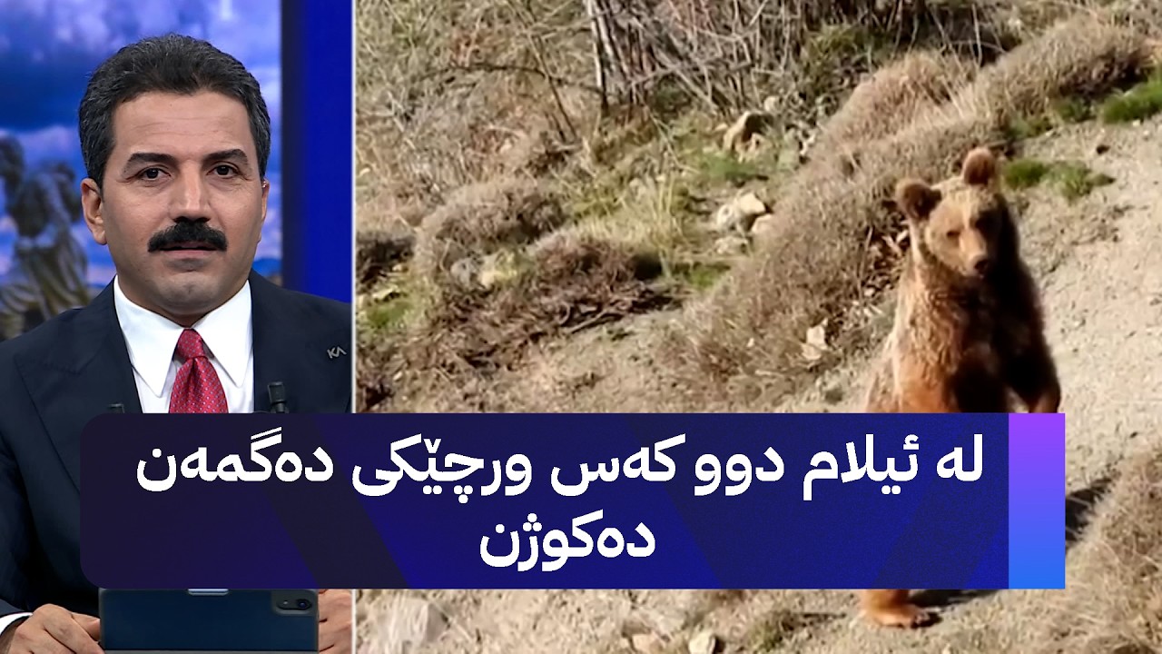 ڤیدیۆ | لە ئیلام دوو کەس ورچێکی دەگمەن دەکوژن