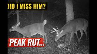 I Left This Trail Cam Out Since November…