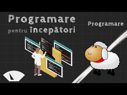 Ce este programarea calculatoarelor? - Curs de programare pentru începători 0/5