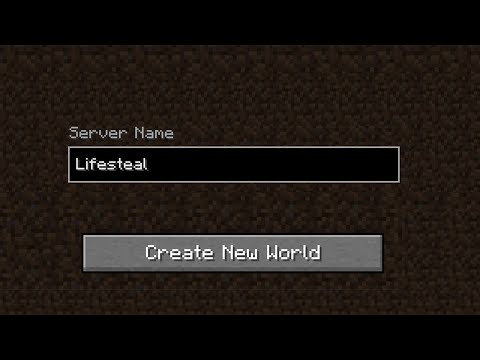 How I Started the Lifesteal SMP...