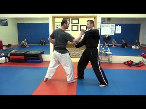 Funakoshi Karate Throw Tsubamegaeshi - V-Turning Swallow