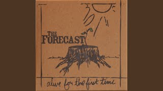 We All Return to Our Roots (Acoustic)