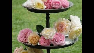 por retenerte bronco