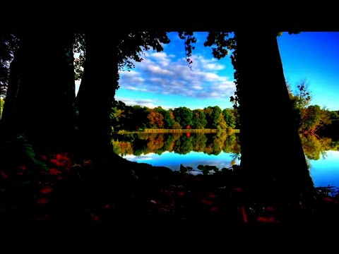 The Flower Kings - The Flower Kings (Video Clip)