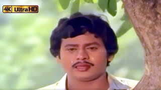 Download lagu சொந்தம் ஒன்றை தேடும் அன்னக்கிளி சோக பாடல் | Sondham Ondrai Song | Mano | Enne Petha Raasa . mp3