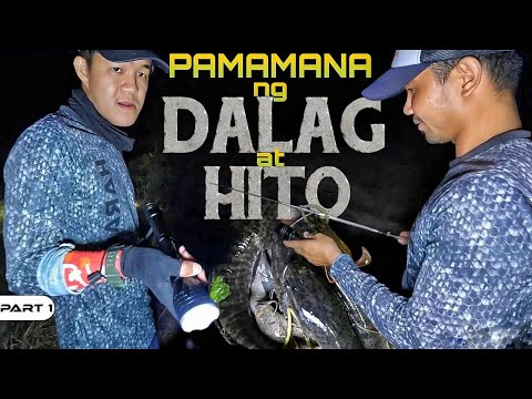 P1-MALALAKING HITO AT DALAG HULI SA PANA - EP1182