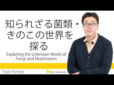 慶應義塾研究者紹介動画「知られざる菌類・きのこの世界を探る／Exploring the Unknown World of Fungi and Mushrooms」慶應義塾大学経済学部・糟谷大河准教授