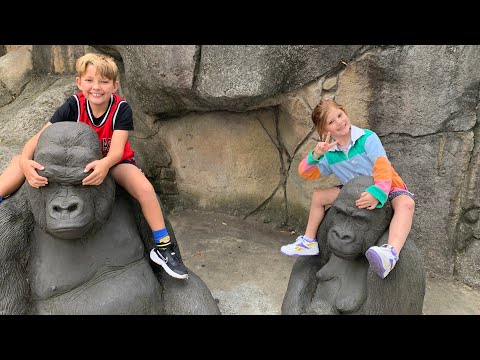 Thumbnail for Max and Kit take Ovation of the Seas- Day 2 (Taronga Zoo)