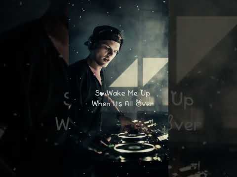 Avicii Wake Me Up Lyrics Video Song
