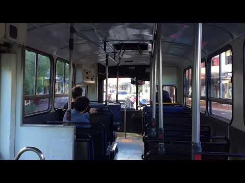 Ex-STA Sydney m/o 2208 - Mercedes-Benz O305 (W3D)