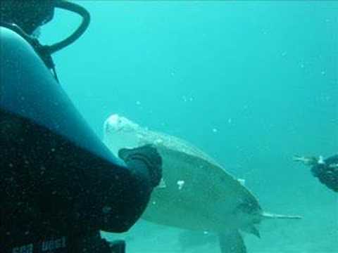 Südostküste Teneriffas, Teneriffa,Spanien