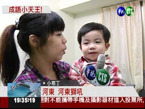 1次背41句成語! 2歲童滾瓜爛熟