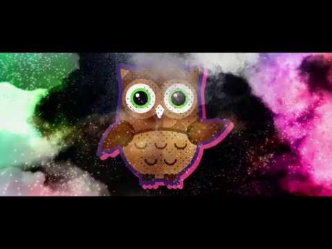 [Aftermovie] Roadhouse Festival 2017 - Eventzentrum Geiselwind